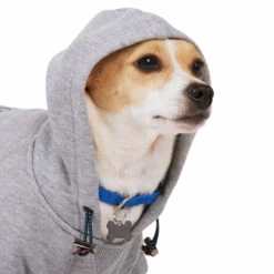 Reddy Fall Winter Sudadera Con Capucha, Bolsa Y Estampado Color Gris, Mediano -Tropiclean Shop 1200ftw 142551 4