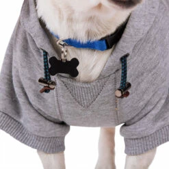 Reddy Fall Winter Sudadera Con Capucha, Bolsa Y Estampado Color Gris, Mediano -Tropiclean Shop 1200ftw 142551 5