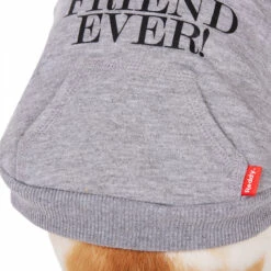 Reddy Fall Winter Sudadera Con Capucha, Bolsa Y Estampado Color Gris, Mediano -Tropiclean Shop 1200ftw 142551 7