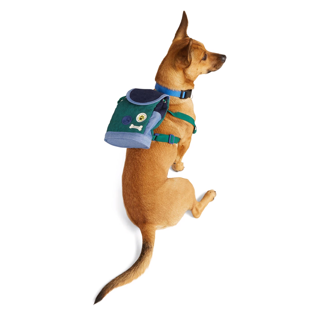 Youly Fall Winter Backpack Colores Azul Y Verde, Chico/ Mediano 2 Youly Fall Winter Backpack Colores Azul Y Verde, Chico/ Mediano - Image 2