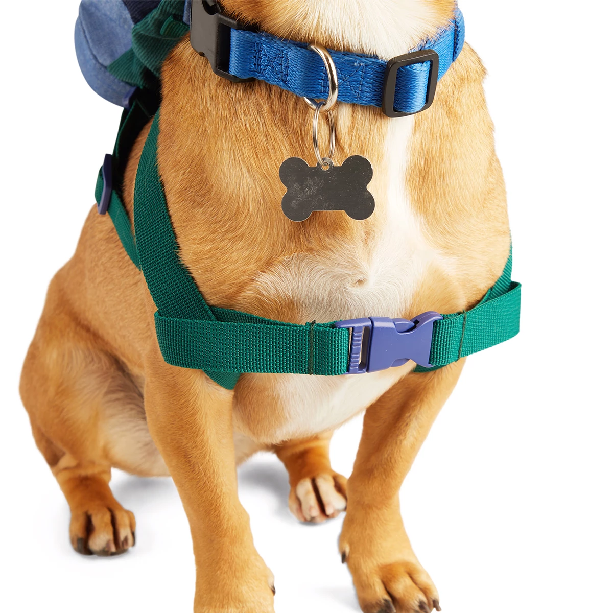 Youly Fall Winter Backpack Colores Azul Y Verde, Chico/ Mediano 3 Youly Fall Winter Backpack Colores Azul Y Verde, Chico/ Mediano - Image 3