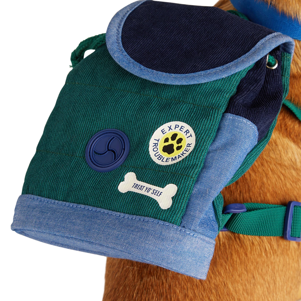 Youly Fall Winter Backpack Colores Azul Y Verde, Chico/ Mediano 4 Youly Fall Winter Backpack Colores Azul Y Verde, Chico/ Mediano - Image 4