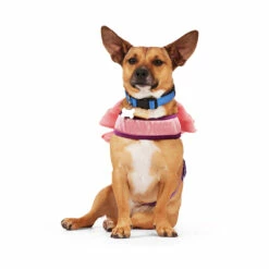 Youly Fall Winter Arnés Con Moño De Lazo, Mediano