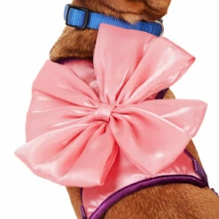 Youly Fall Winter Arnés Con Moño De Lazo, Mediano 11 Youly Fall Winter Arnés Con Moño De Lazo, Mediano -Tropiclean Shop 1200ftw 142589 3