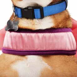 Youly Fall Winter Arnés Con Moño De Lazo, Mediano 12 Youly Fall Winter Arnés Con Moño De Lazo, Mediano -Tropiclean Shop 1200ftw 142589 4