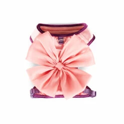 Youly Fall Winter Arnés Con Moño De Lazo, Mediano 13 Youly Fall Winter Arnés Con Moño De Lazo, Mediano -Tropiclean Shop 1200ftw 142589 5