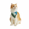 Reddy Cat Bandana Colorblock Azul-Verde Para Gato, Chico/ Mediano