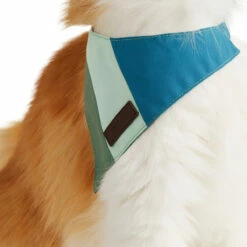 Reddy Cat Bandana Colorblock Azul-Verde Para Gato, Chico/ Mediano 12 Reddy Cat Bandana Colorblock Azul-Verde Para Gato, Chico/ Mediano -Tropiclean Shop 1200ftw 142656 2