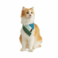 Reddy Cat Bandana Colorblock Azul-Verde Para Gato, Chico/ Mediano