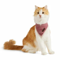 Reddy Cat Bandana Colorblock Vino Para Gato, Chico/ Mediano