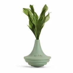 Reddy Cat Juguete Wooble De Caucho Para Gato Color Verde Olivo, Unitalla -Tropiclean Shop 1200ftw 142665 2