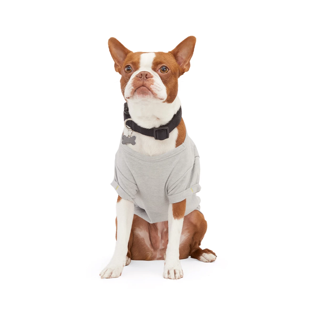 Youly Fall Winter Playera Estampado Colores Love For All Color Gris, Mediano 1 Youly Fall Winter Playera Estampado Colores Love For All Color Gris, Mediano