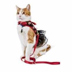 Bond & Co Set Arnés Y Correa Diseño Flores Con Moño Para Gato, Negro 9 Bond & Co Set Arnés Y Correa Diseño Flores Con Moño Para Gato, Negro -Tropiclean Shop medias 1081