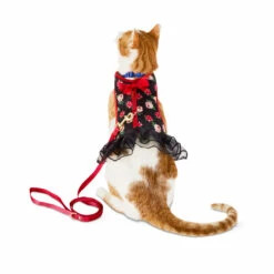 Bond & Co Set Arnés Y Correa Diseño Flores Con Moño Para Gato, Negro 11 Bond & Co Set Arnés Y Correa Diseño Flores Con Moño Para Gato, Negro -Tropiclean Shop medias 1083