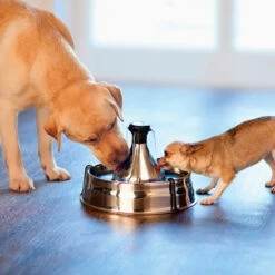 Petsafe Drinkwell Fuente Automática De Acero Inoxidable Para Mascotas Modelo 360 -Tropiclean Shop medias 1101