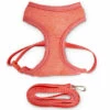 Good2Go Set De Arnés De Malla Y Correa Para Gato Color Rosa