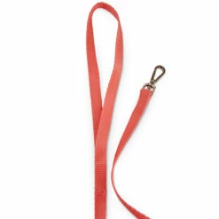 Good2Go Set De Arnés De Malla Y Correa Para Gato Color Rosa -Tropiclean Shop medias 1135