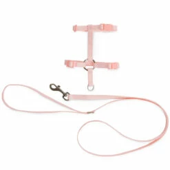 Bond & Co Set De Arnés Y Correa Diseño Corduro Y Para Gatito Color Rosa