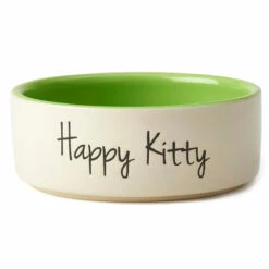 Pet Rageous Tazón De Cerámica Happy Verde Para Gatito, 2 Tazas