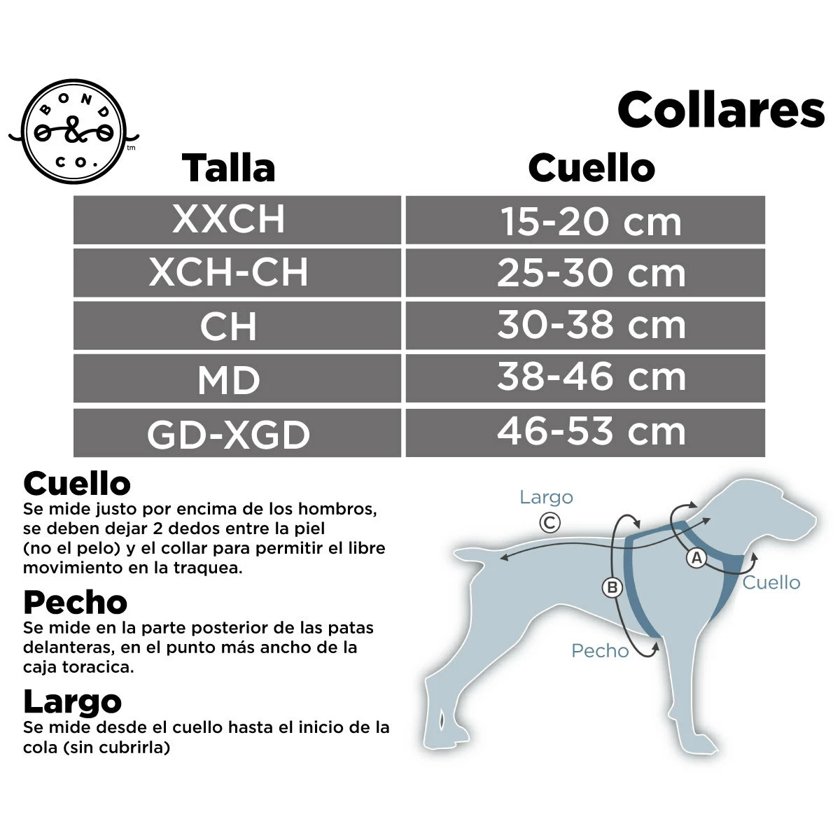 Bond & Co Collar Morado Con Diseño ZigZag Y Hebilla Metálica Para Perro, XX-Chico 2 Bond & Co Collar Morado Con Diseño ZigZag Y Hebilla Metálica Para Perro, XX-Chico - Image 2