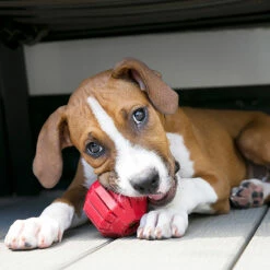 Kong Juguete De Caucho Stuff A Ball Rojo Para Perro -Tropiclean Shop medias 1284