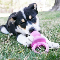 Kong Chupón De Caucho Binkie Para Cachorro -Tropiclean Shop medias 1295