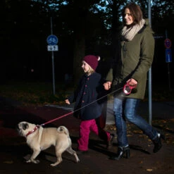 Flexi Vario Linterna Luz LED Para Correa -Tropiclean Shop medias 1321