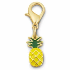 Bond & Co Dije De Piña Para Perro, Chico