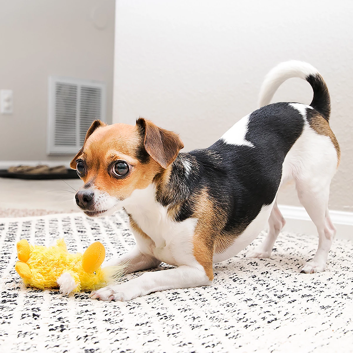 Kong Peluche De Pato Dr. Noyz Con Sonido Para Perro 3 Kong Peluche De Pato Dr. Noyz Con Sonido Para Perro - Image 3