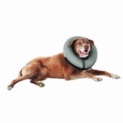 Well & Good Collarín Inflable Para Perro, Mediano