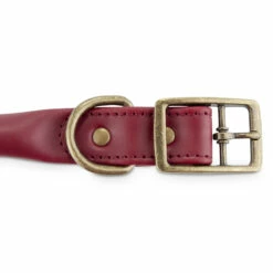 Reddy Collar Redondo De Piel Color Marrón Con Cierre Tipo Hebilla Para Perro, Mediano -Tropiclean Shop medias 1389