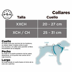 Bond & Co Collar De Cuero Color Aqua Con Moño Para Perro, X-Chico/Chico 5 Bond & Co Collar De Cuero Color Aqua Con Moño Para Perro, X-Chico/Chico -Tropiclean Shop medias 1418