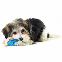 Petstages Mini Huesos Orka, Chico 9 Petstages Mini Huesos Orka, Chico -Tropiclean Shop medias 1454