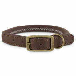Reddy Collar Redondo De Piel Color Caf茅 Con Cierre De Hebilla Para Perro, Grande
