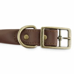 Reddy Collar Redondo De Piel Color Café Con Cierre De Hebilla Para Perro, Grande -Tropiclean Shop medias 1463
