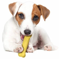 Nylabone Paquete De 3 Huesos Power Chew Mediano Sabor Múltiple Para Perro -Tropiclean Shop medias 1470