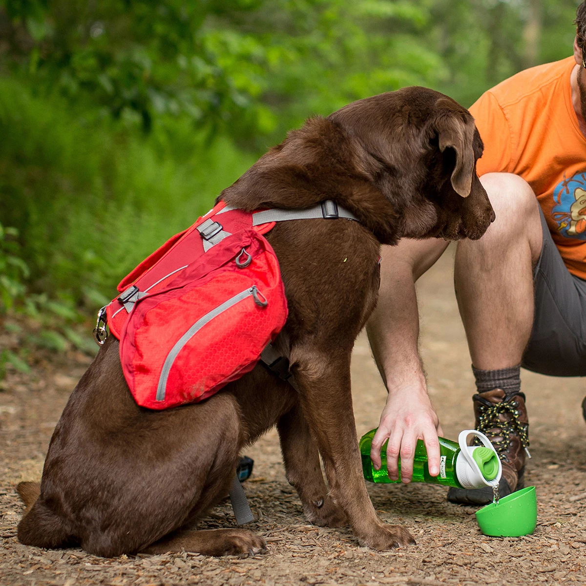 Kurgo Alforja Baxter Para Perro, Grande 2 Kurgo Alforja Baxter Para Perro, Grande - Image 2