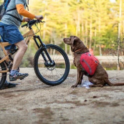 Kurgo Alforja Baxter Para Perro, Grande 7 Kurgo Alforja Baxter Para Perro, Grande -Tropiclean Shop medias 1517