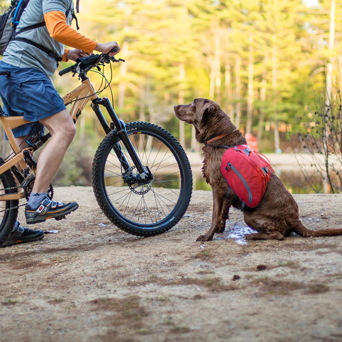 Kurgo Alforja Baxter Para Perro, Grande 3 Kurgo Alforja Baxter Para Perro, Grande - Image 3