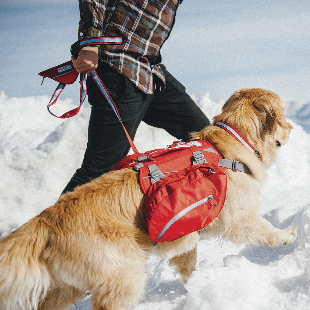 Kurgo Alforja Baxter Para Perro, Grande 4 Kurgo Alforja Baxter Para Perro, Grande - Image 4