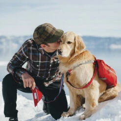 Kurgo Alforja Baxter Para Perro, Grande 9 Kurgo Alforja Baxter Para Perro, Grande -Tropiclean Shop medias 1519