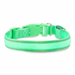Good2Go Collar Reflejante Con Luz LED Recargable Color Verde Para Perro, Mediano -Tropiclean Shop medias 1532