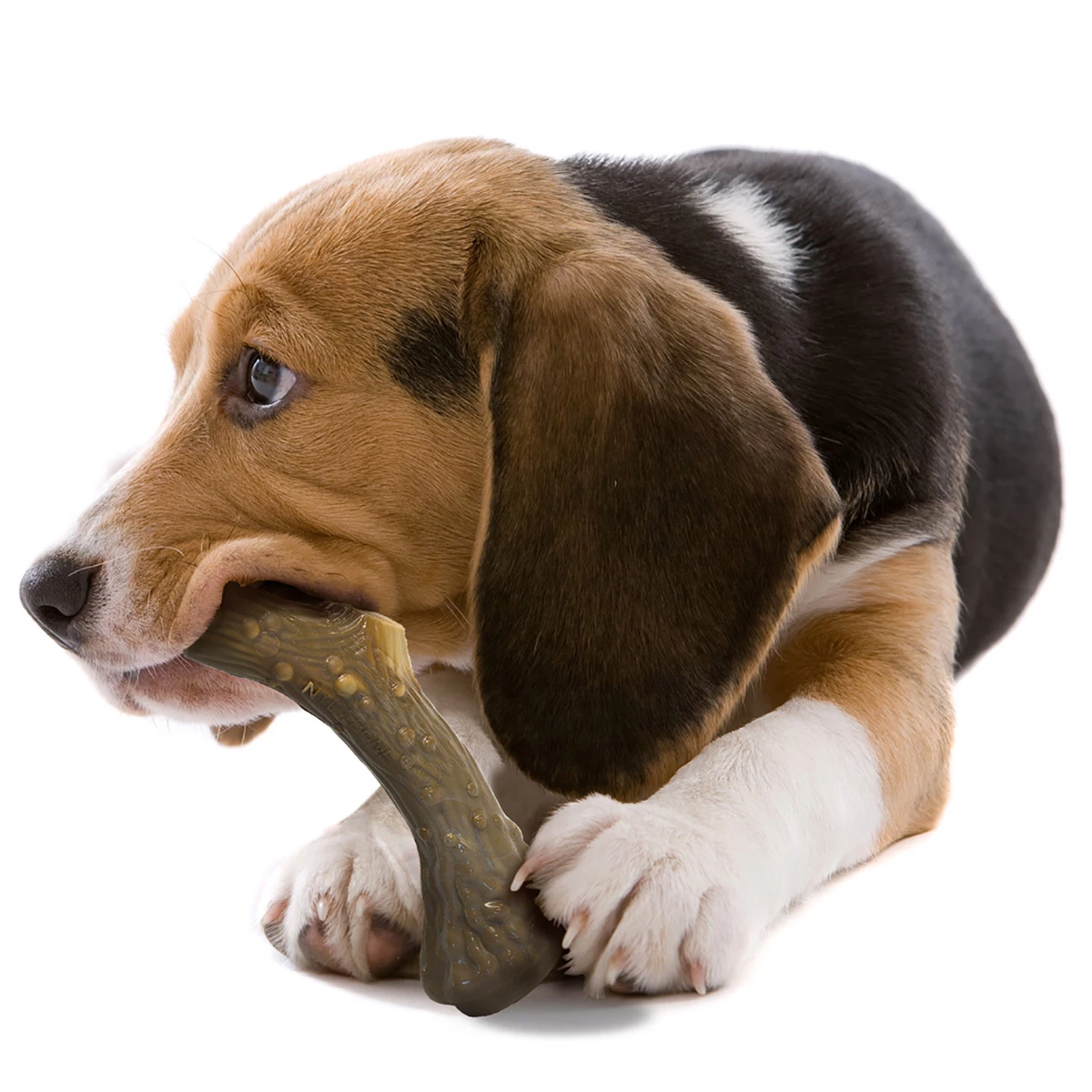 Nylabone Cuerno Azul Power Chew Grande Sabor Venado Para Perro 4 Nylabone Cuerno Azul Power Chew Grande Sabor Venado Para Perro - Image 4