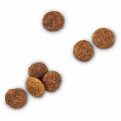 WholeHearted Libre De Granos Alimento Natural Para Perro Todas Las Edades Receta Pollo Y Chícharo, 11 Kg 14 WholeHearted Libre De Granos Alimento Natural Para Perro Todas Las Edades Receta Pollo Y Chícharo, 11 Kg -Tropiclean Shop medias 224