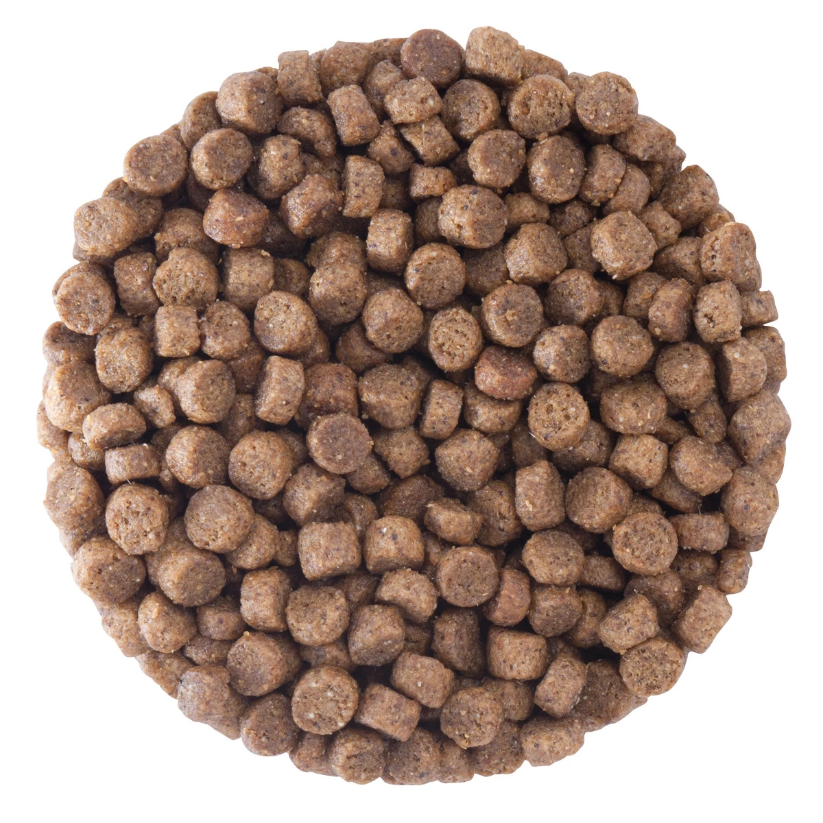 Tiër Holistic Small Bites Alimento Natural Para Perro Cachorro Raza Pequeña Receta Pollo, 8 Kg 4 Tiër Holistic Small Bites Alimento Natural Para Perro Cachorro Raza Pequeña Receta Pollo, 8 Kg - Image 4