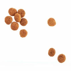 WholeHearted Healthy Benefits Alimento Natural Para Perro Adulto Cuidado De Piel/Pelo Receta Salmón Y Chícharo, 11.4 Kg -Tropiclean Shop medias 343