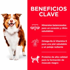 Bond & Co Collar Para Perro Trenzado Negro Con Rojo, Grande 45 Cm