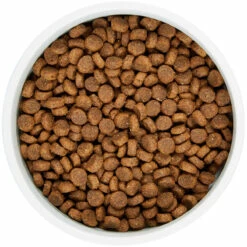 WholeHearted Libre De Granos Alimento Natural Para Perro Adulto Raza Pequeña Receta Pollo Y Chícharo, 6 Kg -Tropiclean Shop medias 391