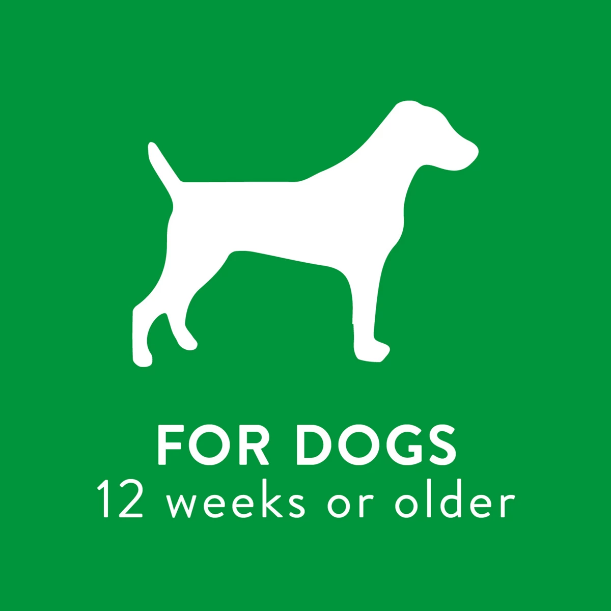 Tropiclean Shampoo En Seco Con Aroma A Frutos Rojos Y Coco Para Perro 6 Tropiclean Shampoo En Seco Con Aroma A Frutos Rojos Y Coco Para Perro - Image 6