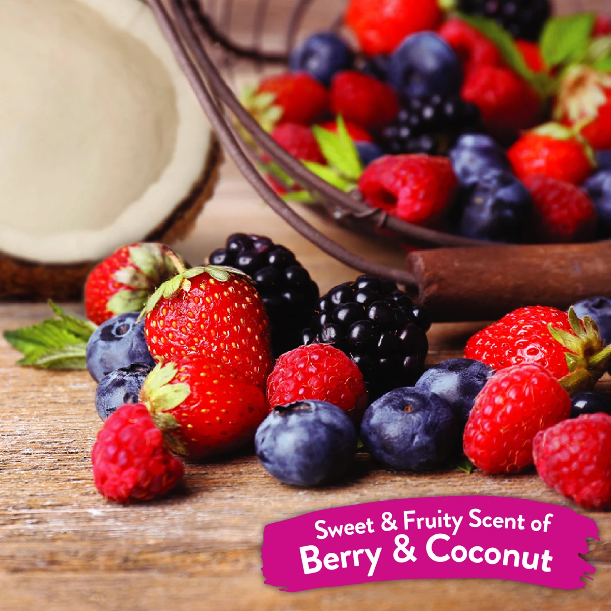 Tropiclean Shampoo En Seco Con Aroma A Frutos Rojos Y Coco Para Perro 7 Tropiclean Shampoo En Seco Con Aroma A Frutos Rojos Y Coco Para Perro - Image 7